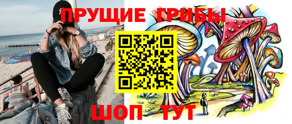 Псилоцибиновые грибы мицелий Сорочинск
